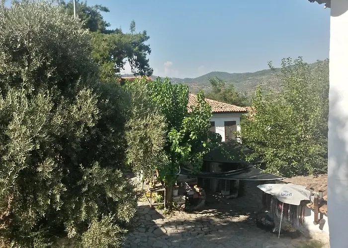 Zeytinli Konak Penzion *