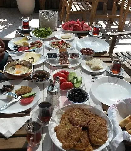 Zeytinli Konak Penzion Selcuk