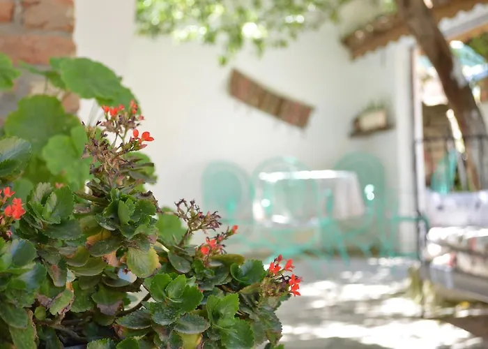 Penzion Zeytinli Konak *