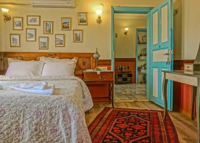 Zeytinli Konak * Selcuk