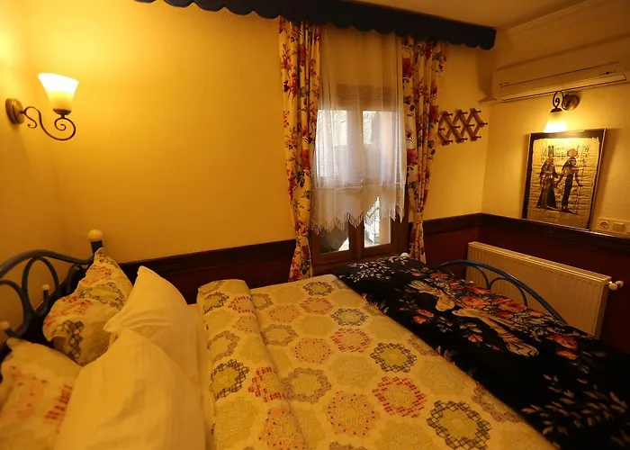 Zeytinli Konak Selcuk