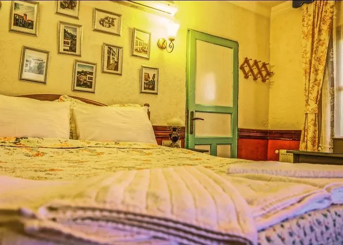 Zeytinli Konak Penzion Selcuk