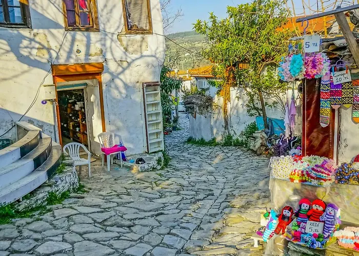 Penzion Zeytinli Konak *