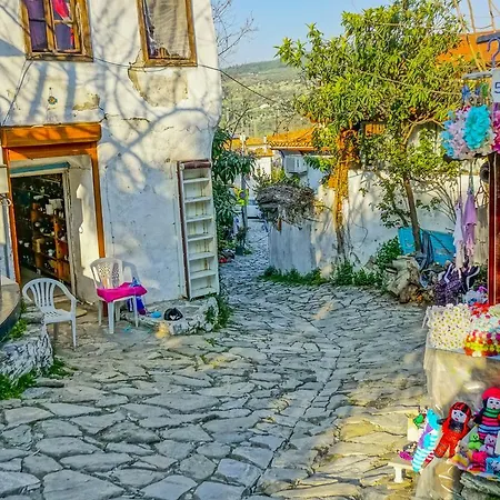 Konukevi Zeytinli Konak *