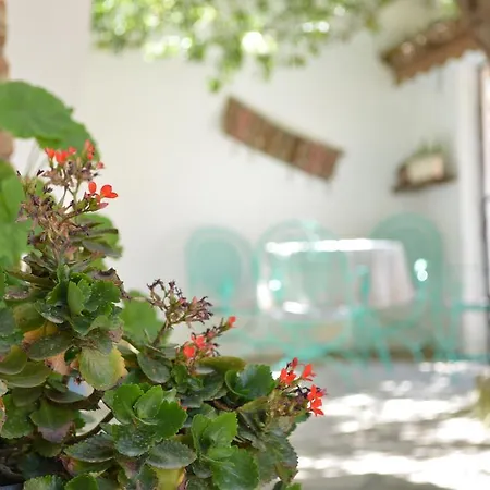 Konukevi Zeytinli Konak *